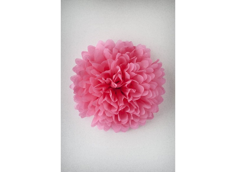 POMPÓN ROSE SAUMON