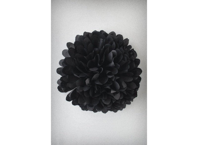 POMPÓN NOIR