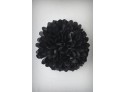POMPÓN NOIR
